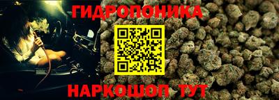 эйфоретик Заводоуковск